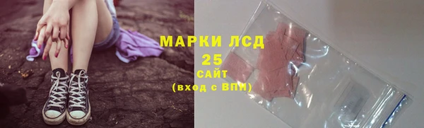 шишки Абинск