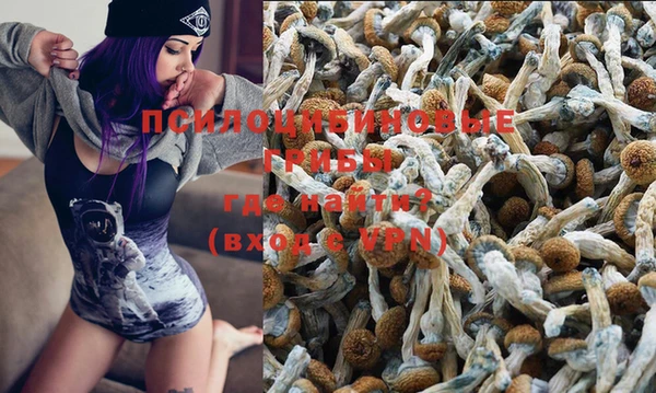 стафф Пролетарск
