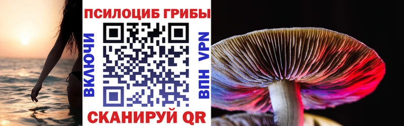Псилоцибиновые грибы MAGIC MUSHROOMS  как найти   Лысково 